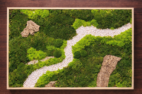 Moosbild / Natur / Bürobild / Praxisbild / Waldweg / Steinbild